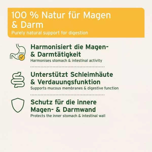 Ulmenrinde - 100 g